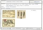 Karteikarte zum Syntyp von Dimorphina zitteli Karrer, 1878